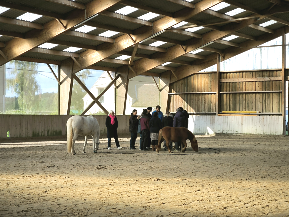 Cours au centre équestre