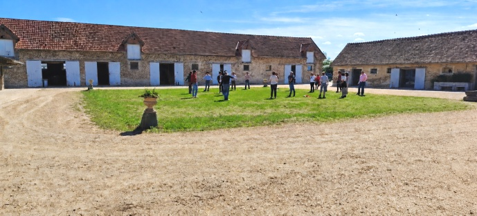 Chevaux au Haras de la Clairière
